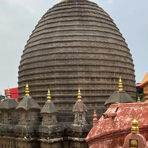 pexels-anil-das-65590354-31726787