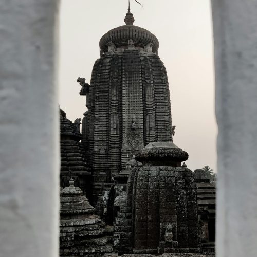 pexels-mylaststory-9796144