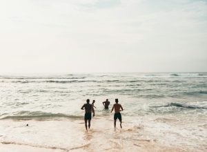 pexels-ollivves-1056497