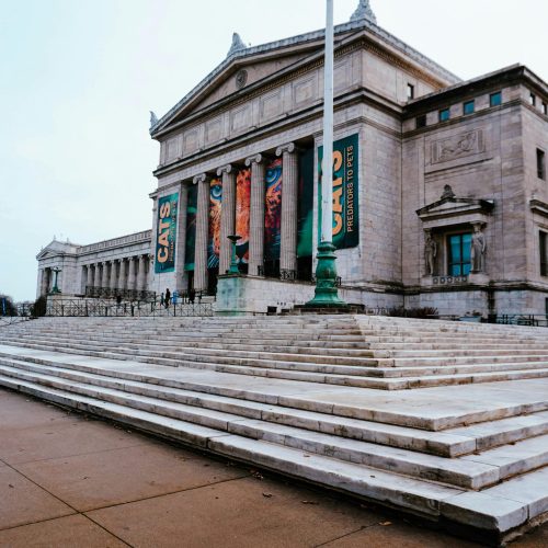 pexels-rahul-reghu-774949763-33715440