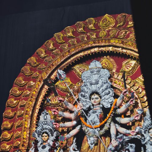 pexels-soubhagya23-18830988