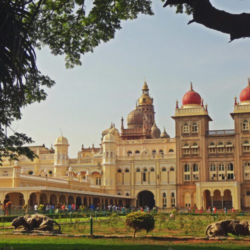 pexels-sumitkumar8-9882016